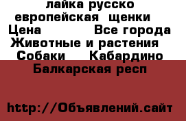 лайка русско-европейская (щенки) › Цена ­ 5 000 - Все города Животные и растения » Собаки   . Кабардино-Балкарская респ.